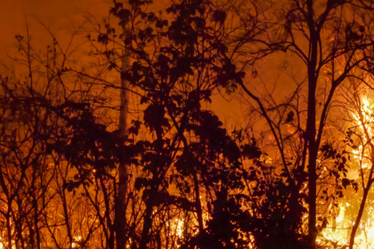 California Wildfire Risk 2025: Winter Drought Sparks Alarms