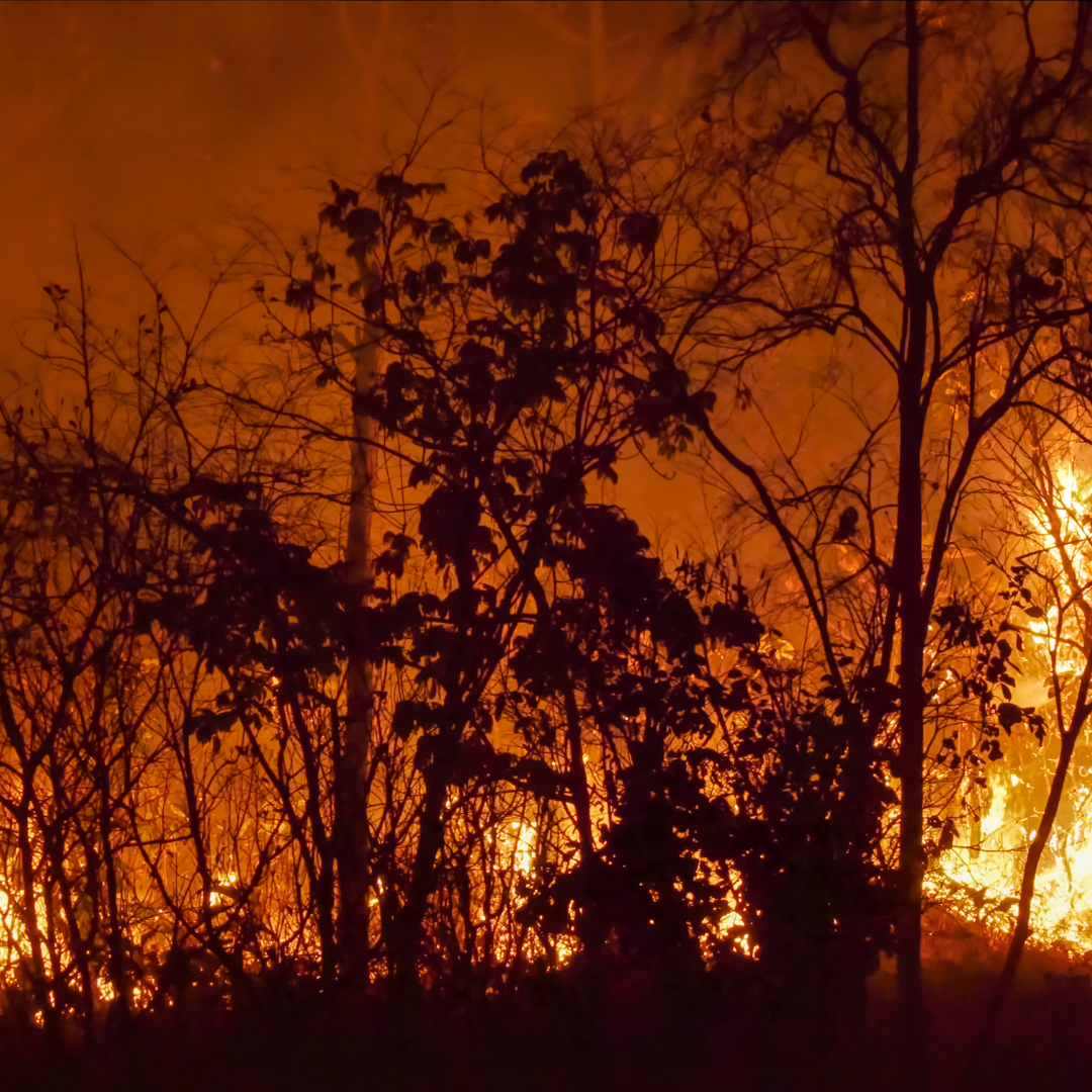 California Wildfire Risk 2025: Winter Drought Sparks Alarms