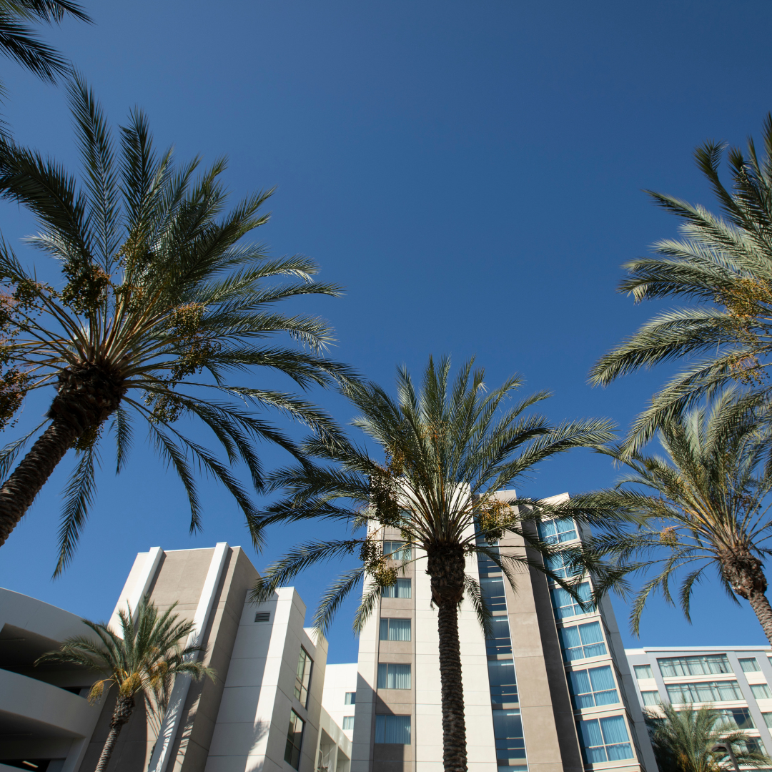 California GOP Challenges Prop. 50 Maps at Supreme Court