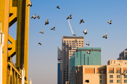 Sacramento Department of Education Backs Billion-Dollar Investments in 2026 State Budget