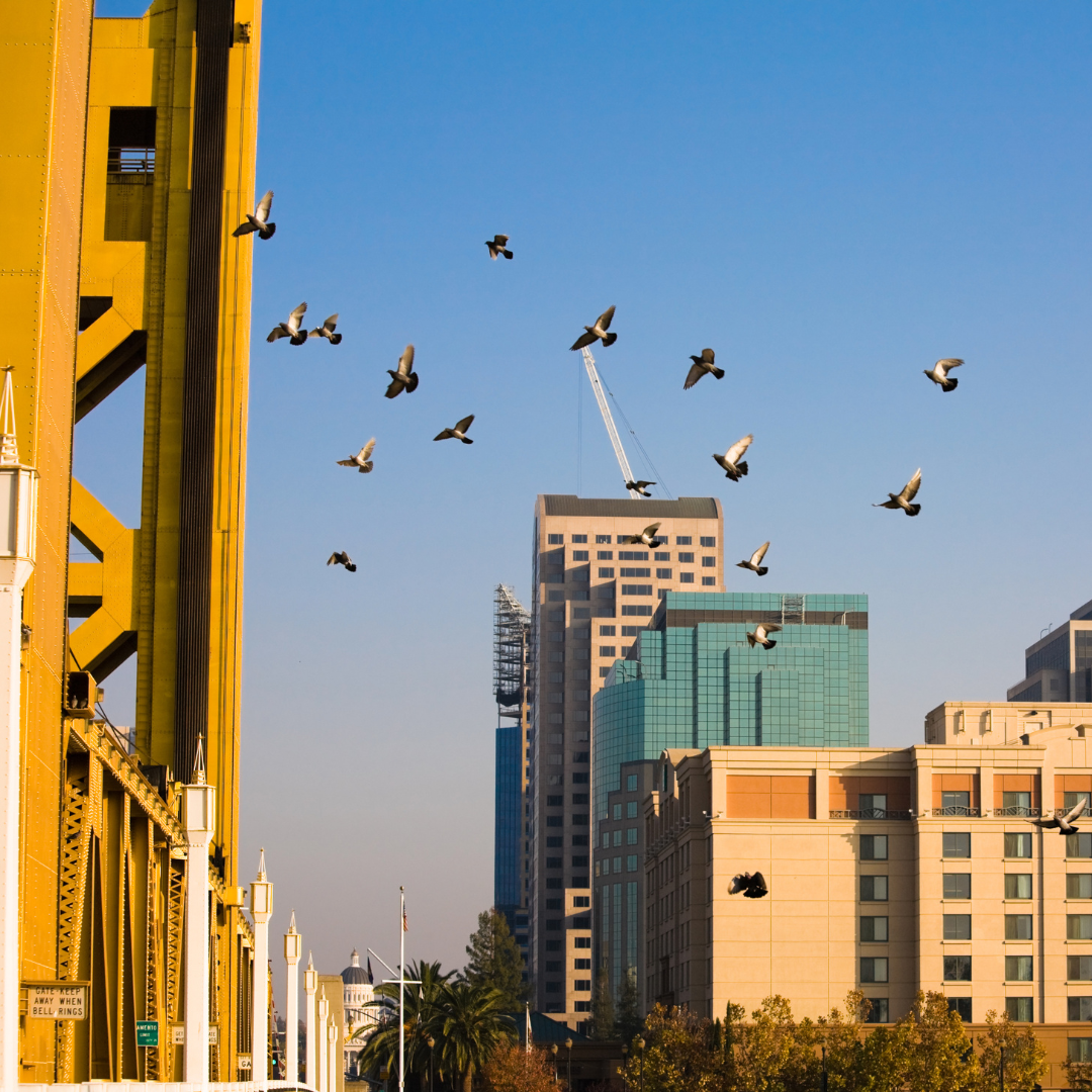 Sacramento Department of Education Backs Billion-Dollar Investments in 2026 State Budget