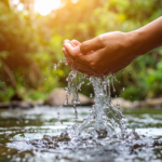 California Water Conservation Programs Surpass Goals as Statewide Efforts Deliver Measurable Results