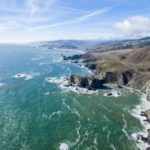 California Kelp Forest Recovery Shows Strong Coastal Rebound in 2026