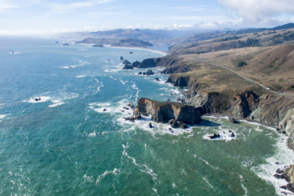 California Kelp Forest Recovery Shows Strong Coastal Rebound in 2026