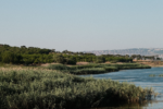 California Coastal Wetland Restoration Projects Improve Climate Resilience